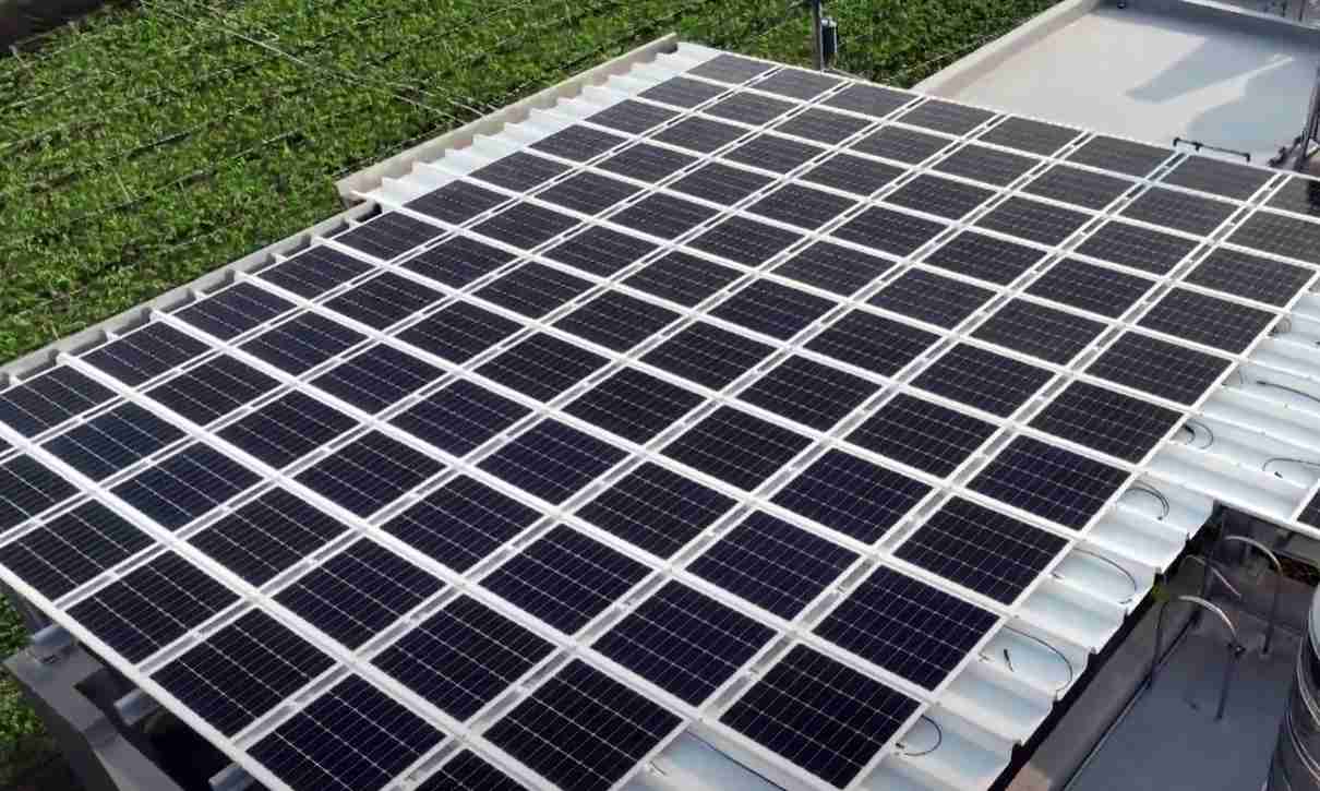 糖果派对SunSteel光电浪板升级双玻结构，，，以提升机械负载强度及气候耐候度，，，可广泛运用于多元场域