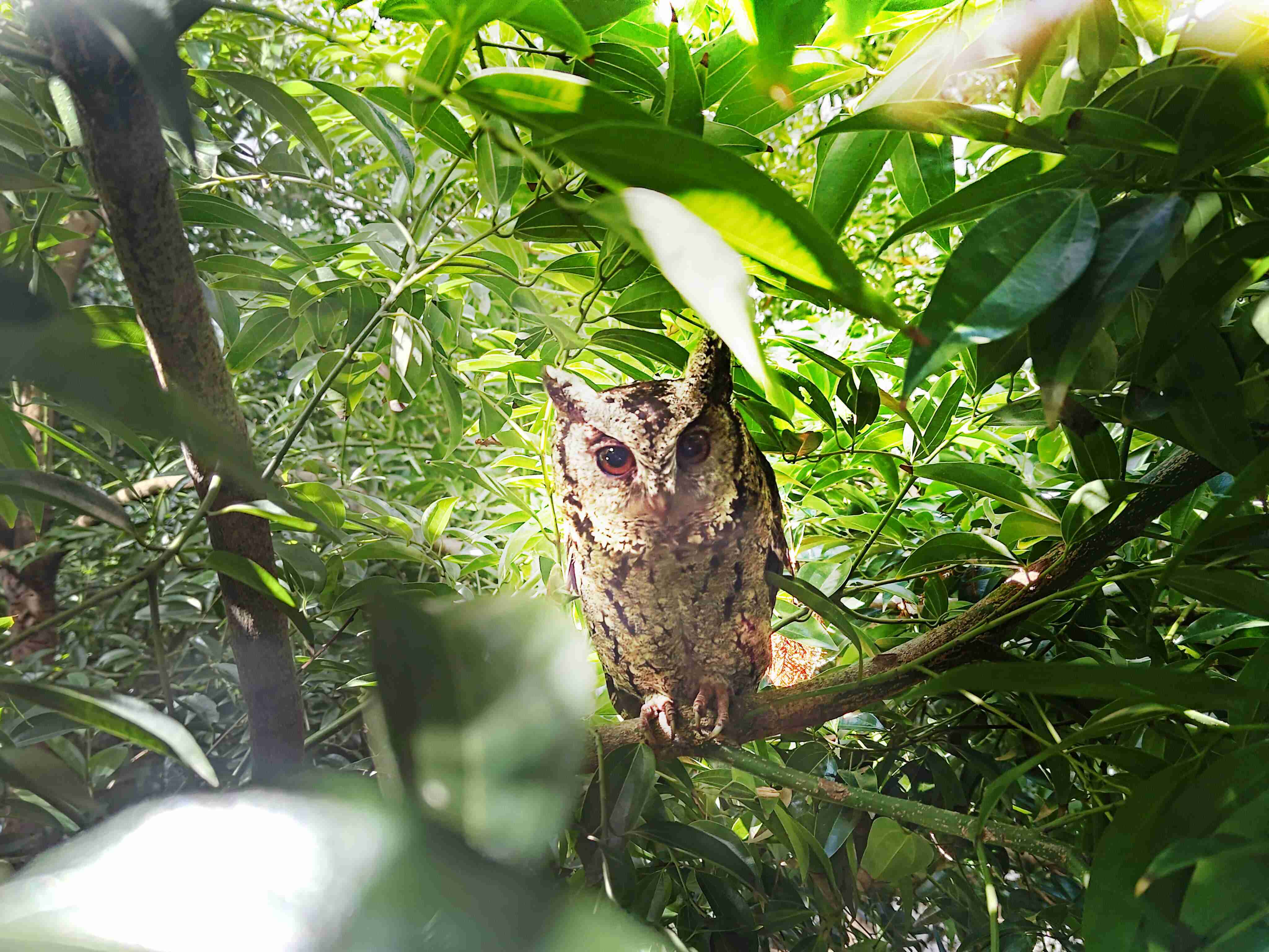 糖果派对致力提倡净零绿生活，，，，16年以来在全球各厂区植树逾百万棵，，造就各厂区树木蔚然成林，，，，犹如森林工厂，，，成为许多生物的栖息地
